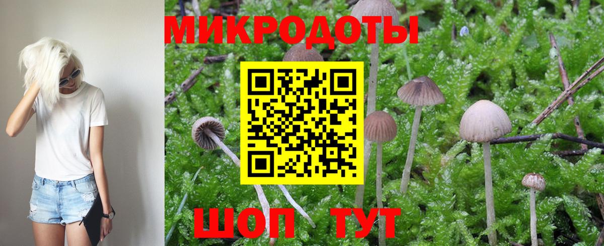Псилоцибиновые грибы ЛСД Калуга